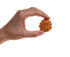 files/Peanut-butter-cookie-hand.jpg