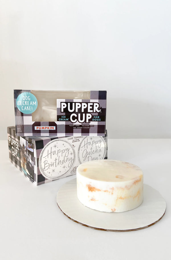 The Pupper Cup Pumpkin Dog Cake