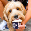 Pupper Cup Ice Cream For Dogs