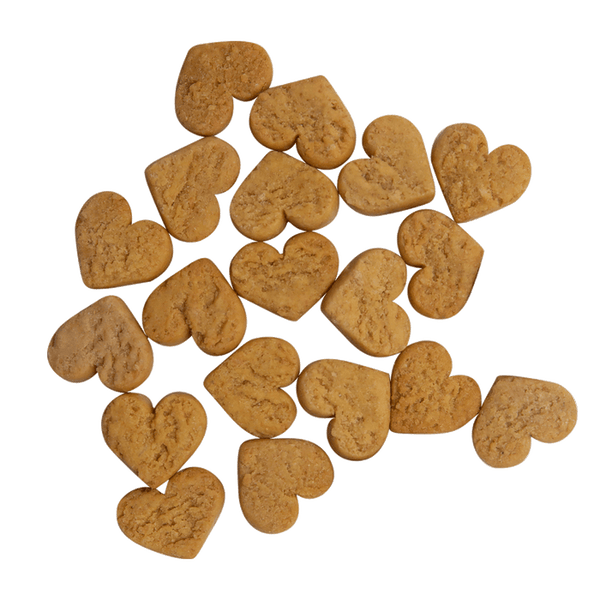 Health Extension Impawfect Pumpkin Ginger Recipe for Digestion Dog Treats