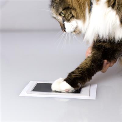 Pearhead Pet Paw Print Clean-Touch Ink Pad and Imprint Cards Cats or Dogs  Pet