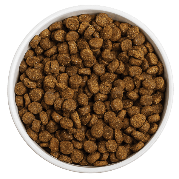 Redbarn Whole Grain Land Recipe Dog Food