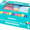 Zippy Paws 3 pc Puppy Birthday Box Dog Toy
