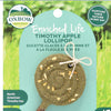 Oxbow Enriched Life Timothy Apple Lollipop Chew Toy for Small Animals