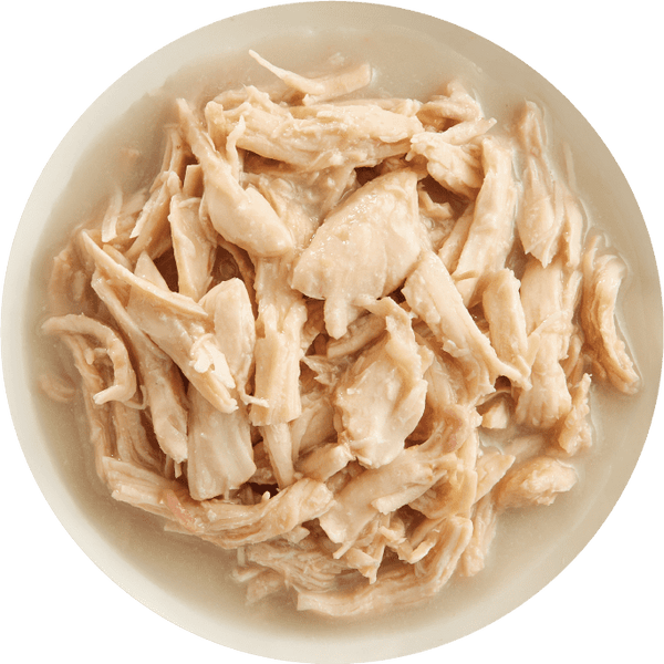 Rawz Chicken Breast and New Zealand Green Mussels Recipe Canned Dog Food