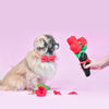 Zippy Paws Bouquet of Roses Dog Toy