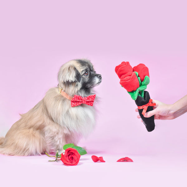 Zippy Paws Bouquet of Roses Dog Toy