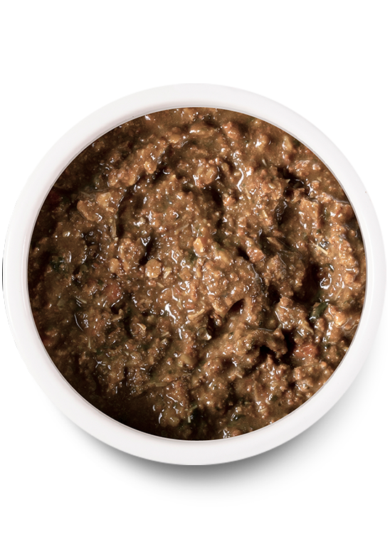 Open Farm Wild-Caught Salmon Rustic Blend Wet Cat Food