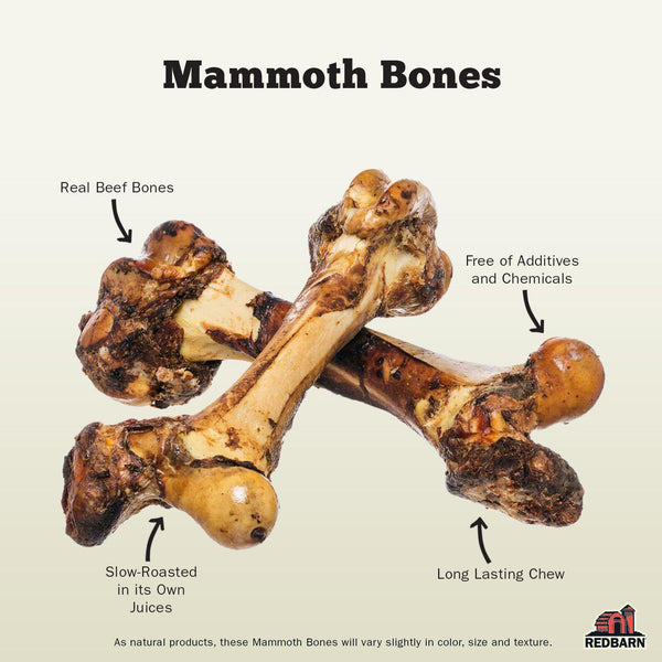 Redbarn Mammoth Bone Dog Treats