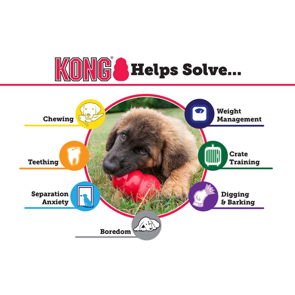 Pet Supplies : Pet Chew Toys : KONG - Classic Dog Toy, Durable