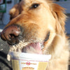 Puppy Scoops Peanut Butter Ice Cream Mix Dog Treat