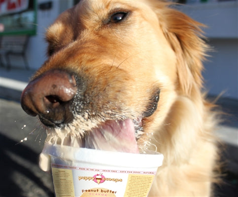 Puppy Scoops Peanut Butter Ice Cream Mix Dog Treat