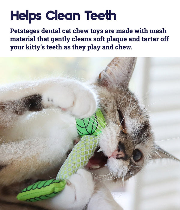 Petstages Play Fresh Breath Mint Stick Cat Toy