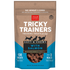 Cloud Star Tricky Trainer Soft & Chewy Salmon Dog Treats