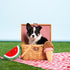 products/watermelon-768x768_7786e7cd-477d-46d8-9903-13877d8216d9.jpg