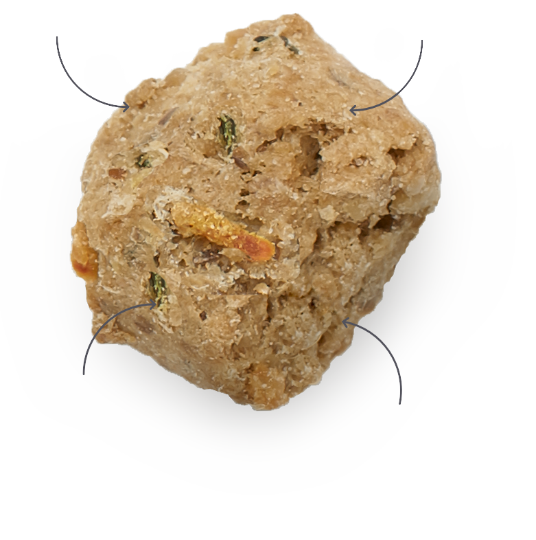 Honest kitchen dog food clusters online